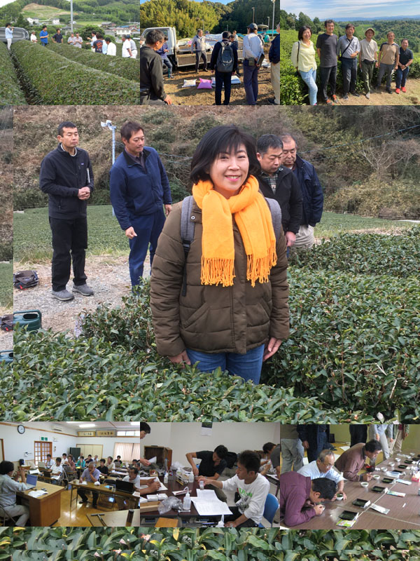 Madame Miwako has worked alongside tea farmers for over 30 years, leading study sessions on organic tea cultivation.